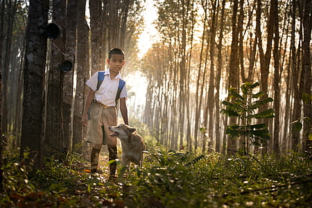 boy and dog under rubber trees