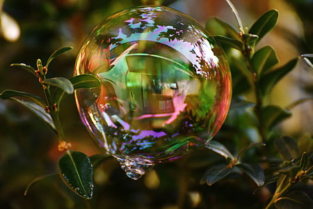 bubble on green leaves in macro shot