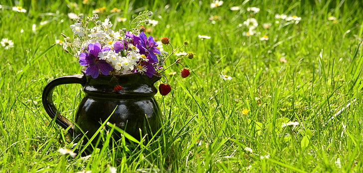 purple and white petaled flowers in black pitcher