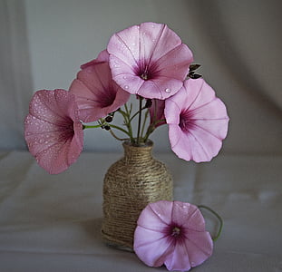 pink flowers on brown vase