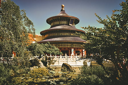 brown and black temple with green trees under clear blue sky