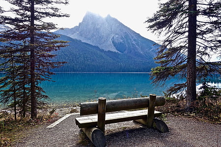 photo of empty bench seat near pine trees far away from body of water and mountain