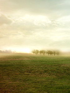 landscape photo of trees and field during daytime