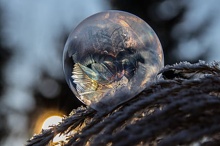 snow globe on leaves shallow focus photography