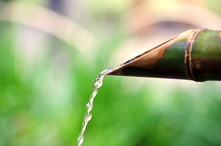 selective focus photography of red bamboo stick with water