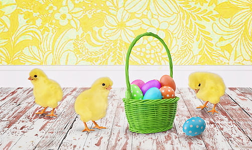 three yellow chicks beside green basket with easter eggs