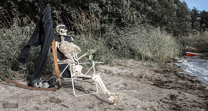 skeleton on lounge chair near body of water