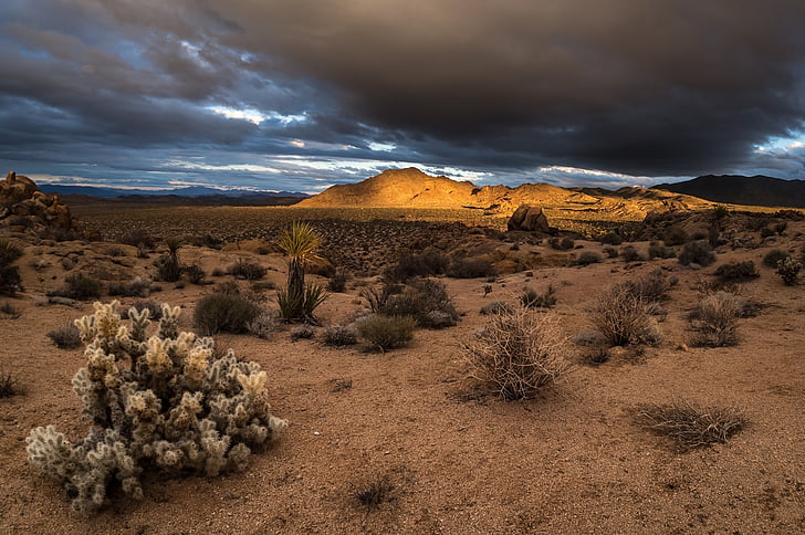 landscape photography of desert under nimbus clouds