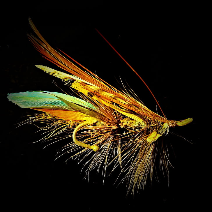 brown and blue fly lure