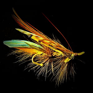 brown and blue fly lure