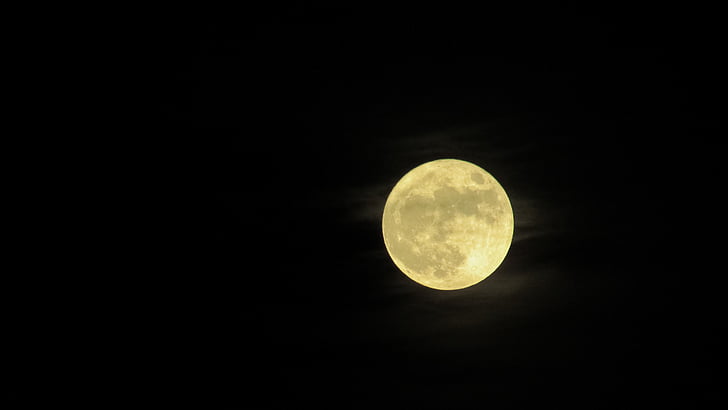 selective photo of full moon
