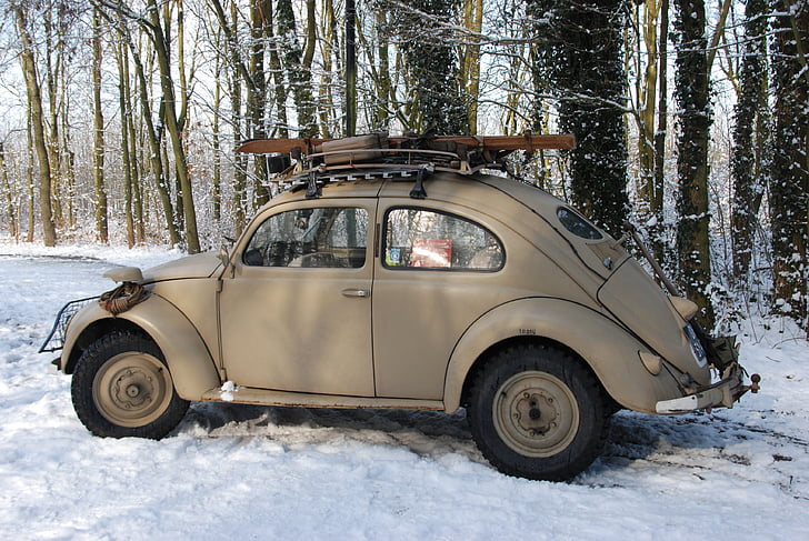 parked gray Volkswagen Beetle coupe near on forest trees