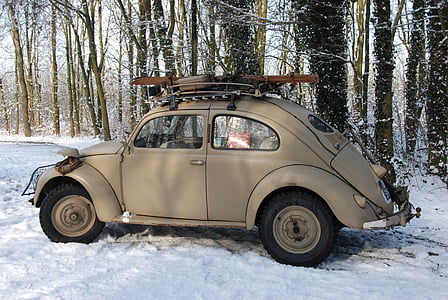 parked gray Volkswagen Beetle coupe near on forest trees