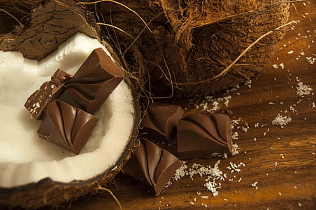 brown chocolate bars on white coconut shell