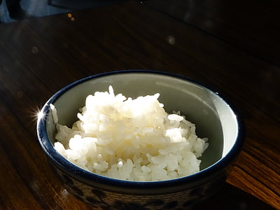 rice on blue and white bowl