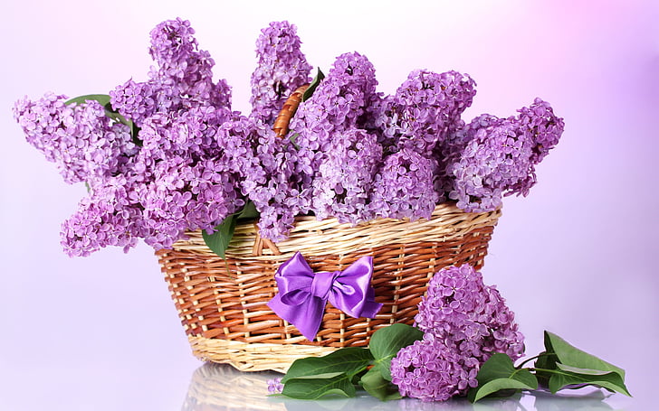 basket of lavander flowers