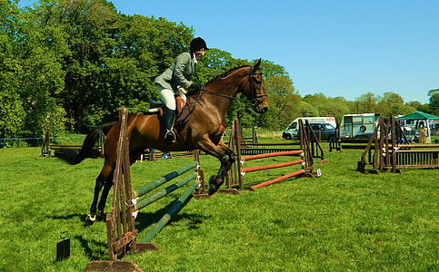 jockey riding jumping brown horse