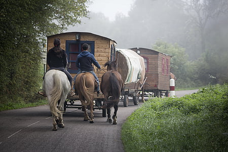 people riding horses while pulling wagons