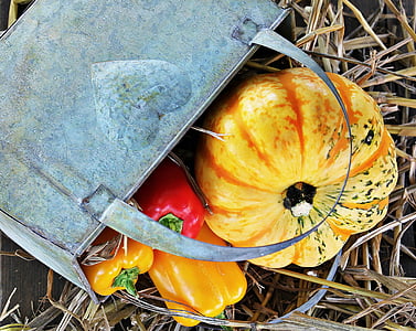 four assorted-color vegetables beside gray metal basket