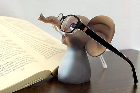 brown and gray elephant toy wearing eyeglasses