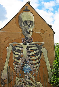 human skeleton illustration beside plant