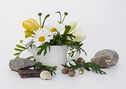 white daisy flowers in white ceramic pot