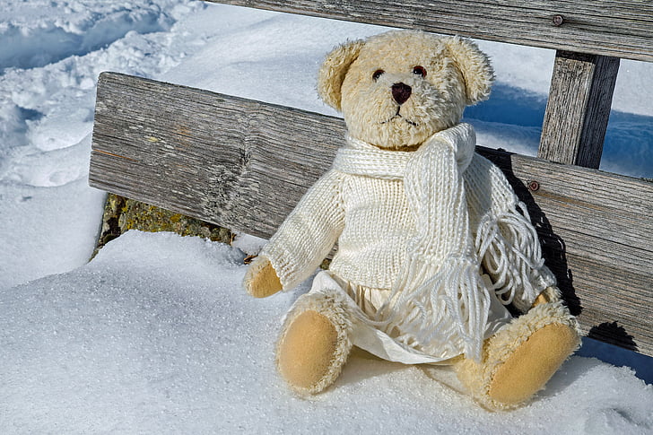brown bear plush toy on snow covered floor during daytime