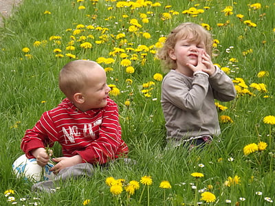 two toddlers sitting on yellow dandelion flower field