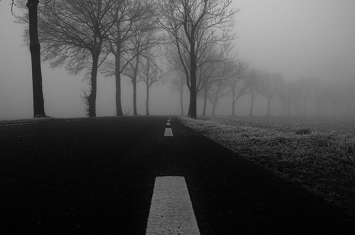 grayscale photo of foggy road