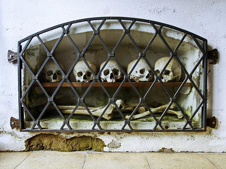 white skulls and bones inside shelf rack on wall with black metal grill cover