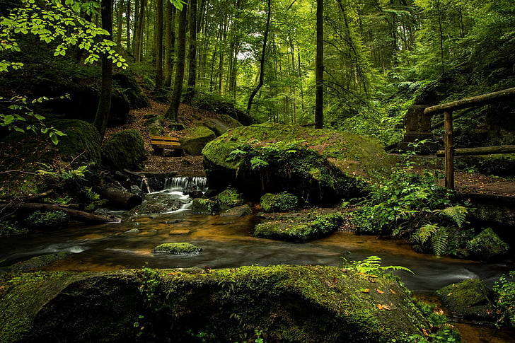 time-lapse photography of flowing river surrounded with green moss covered plants