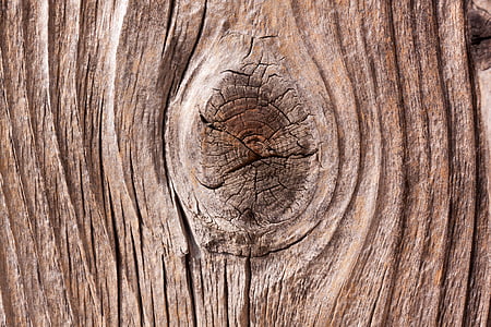 closeup photo of brown wooden surface