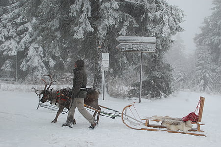 person walking beside deer carrying snow sled