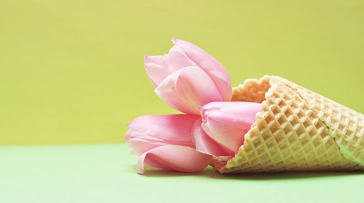 pink Tulips inside ice cream cone with yellow background