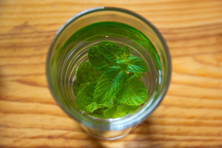 clear drinking glass with green leaf inside