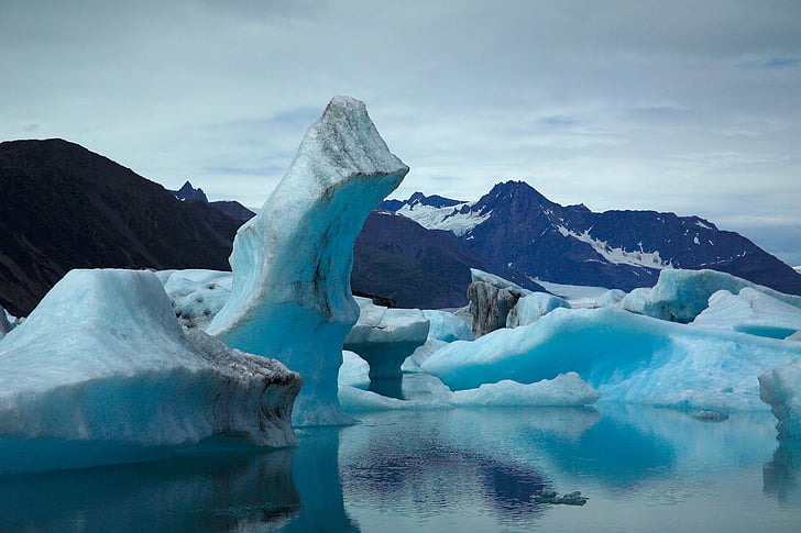 ice bergs during daytime