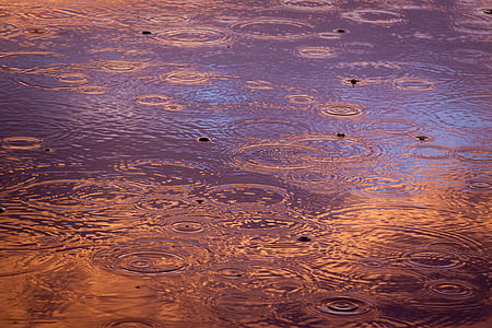 raindrops on ground with purple light
