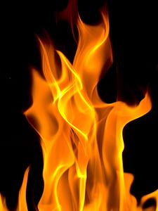 close up photography of fire