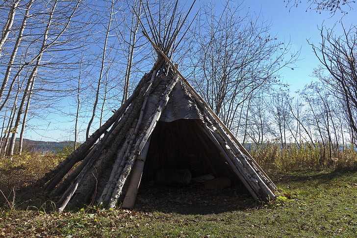 hut made of woods