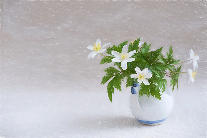 white flowers and green leaves on clear glass vase