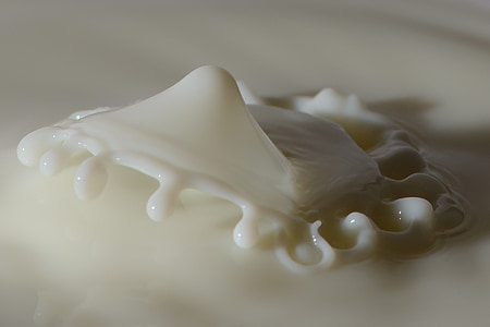 close up photography of white liquid
