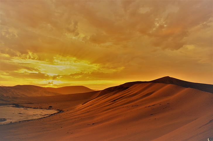 Sahara desert during golden hour