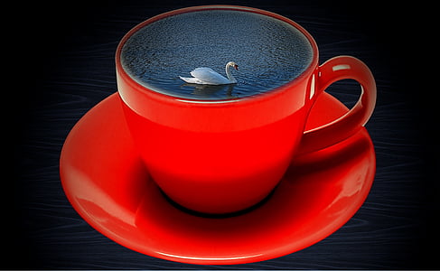 red ceramic teacup and saucer