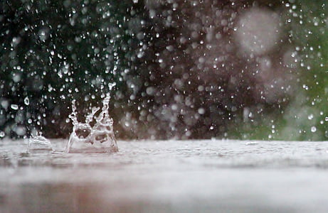 time lapse photography of water droplets