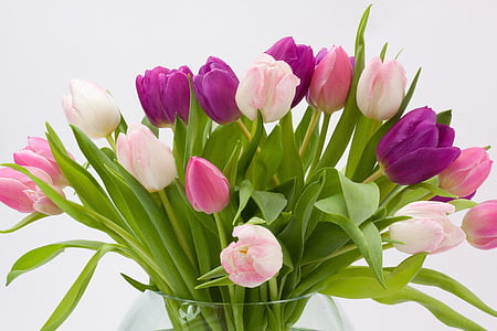 tulips flower arrangement