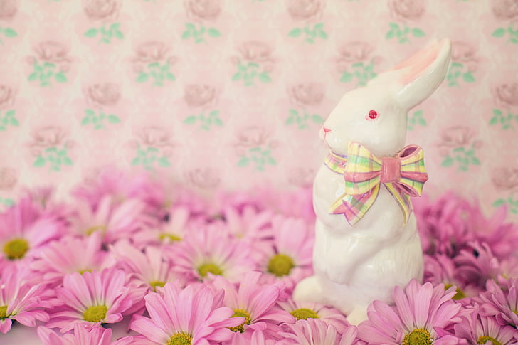 selective focus photography of white rabbit on pink petaled flower field