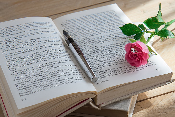 pink rose on book beside fountain pen