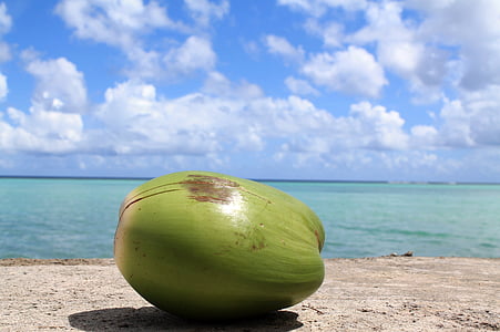 low angle of coconut fruit near body of water