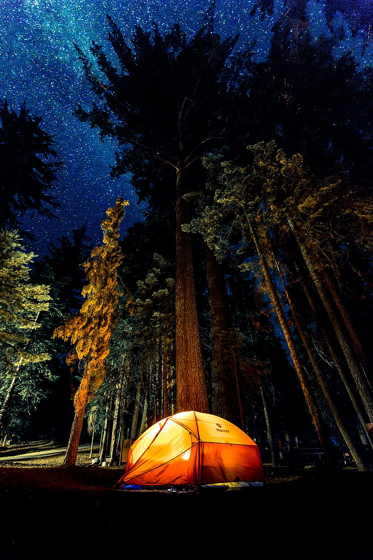 orange and yellow tent under night sky