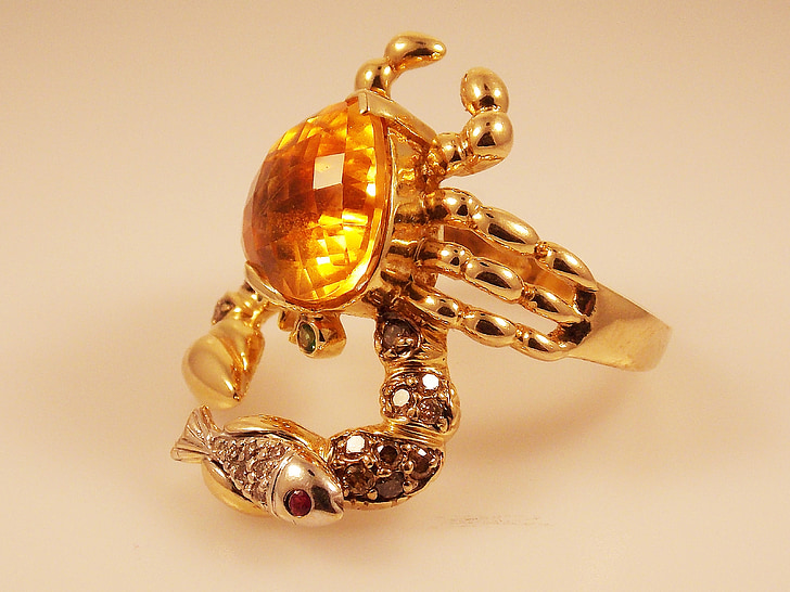 gold-colored fish ring